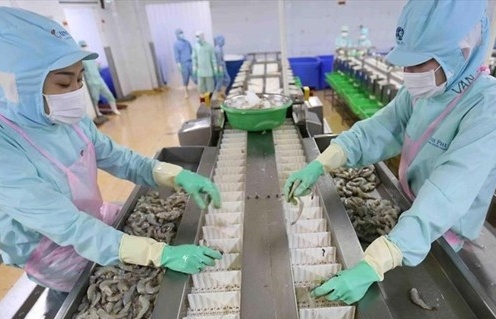 Xuất khẩu tôm tháng 10 đạt mức cao nhất từ đầu năm