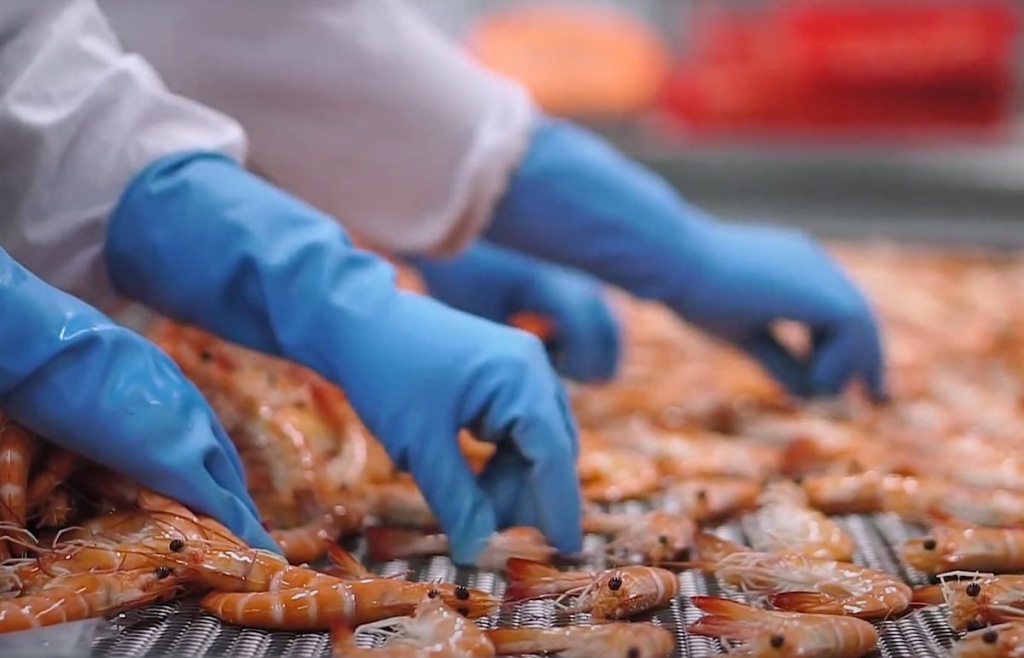 Xuất khẩu các mặt hàng nông sản chủ lực tăng trưởng tích cực Xuất khẩu các mặt hàng nông sản chủ lực tăng trưởng tích cực