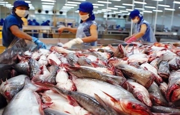 Xuất khẩu cá tra tháng 10 khởi sắc trở lại