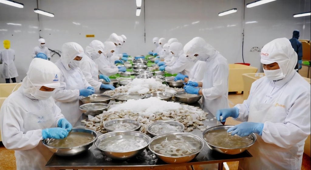 Xuất khẩu tôm tăng tốc Xuất khẩu tôm tăng tốc