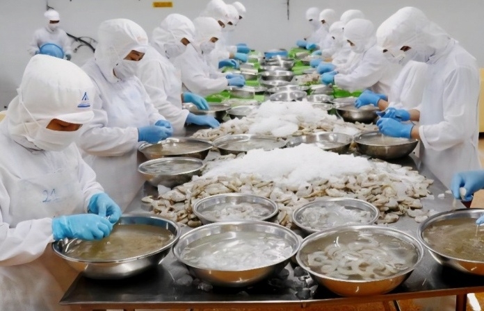 Xuất khẩu tôm tăng tốc mạnh