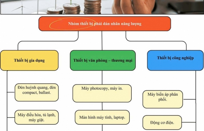 INFOGRAPHIC: Danh mục phương tiện, thiết bị phải dán nhãn năng lượng từ năm 2026