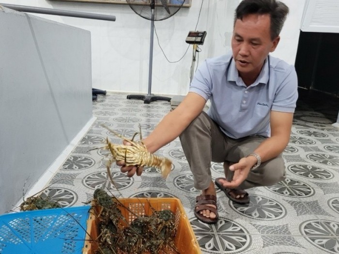 Xuất khẩu thủy sản Việt Nam tiến đến mốc 11 tỷ USD