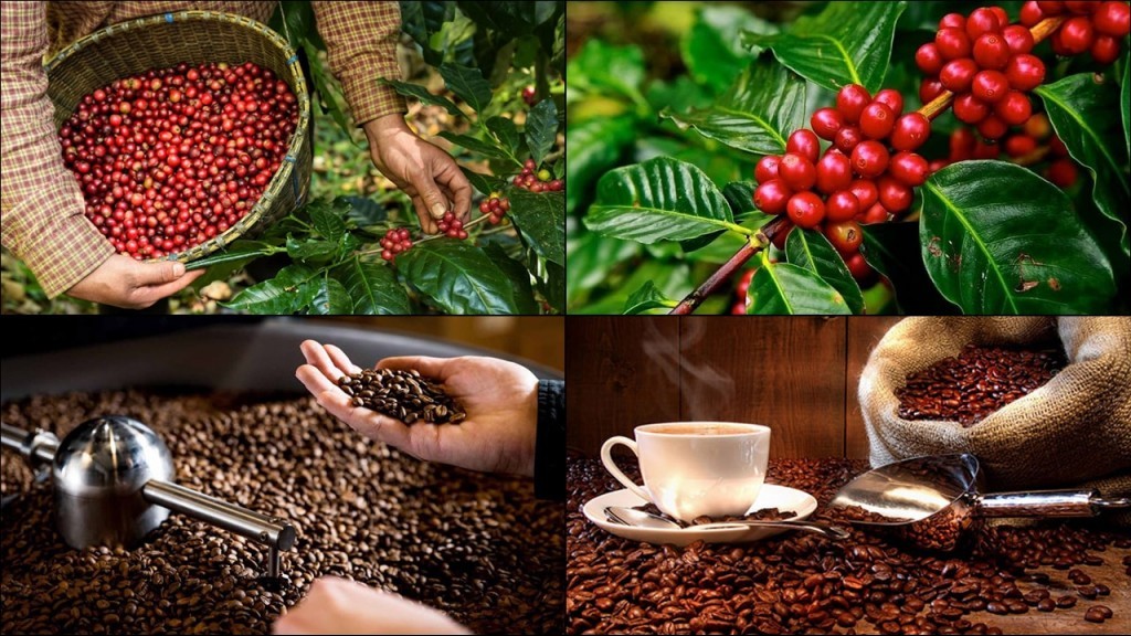 Đề xuất khôi phục ưu đãi thuế giá trị gia tăng: Doanh nghiệp nông nghiệp giảm áp lực chi phí