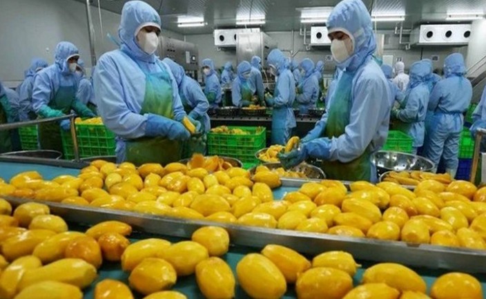 Nông sản Việt rộng cửa vào thị trường Nhật Bản