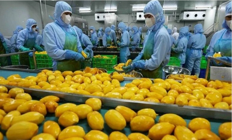 Nhật Bản ghi nhận mức tiêu thụ nông sản Việt Nam tăng rõ rệt, đặc biệt ở hai nhóm hàng chủ lực là rau củ và trái cây.