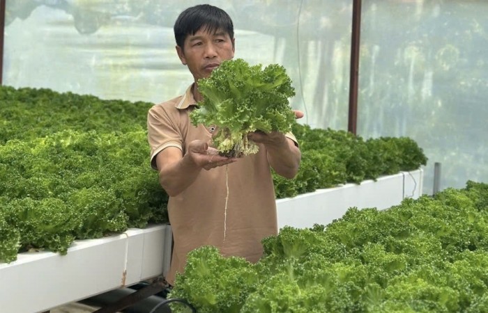 Lâm Đồng: 11 tháng, kim ngạch xuất khẩu đạt hơn 3 tỷ USD