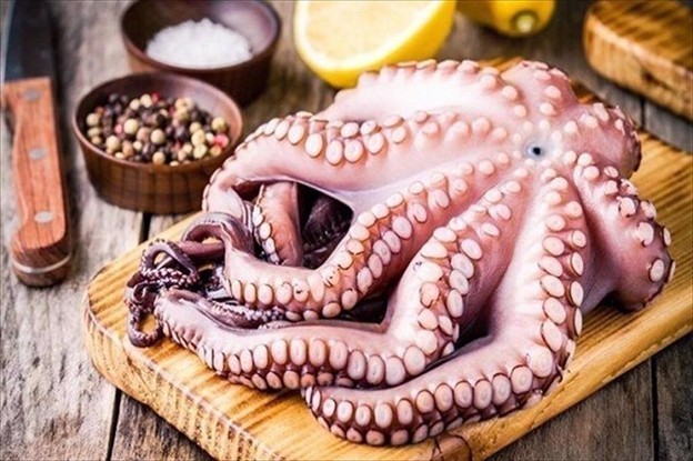 Sản phẩm mực, bạch tuộc chế biến sẵn - Hướng đi chiến lược cho doanh nghiệp xuất khẩu Việt. 