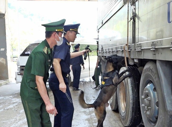 Quyết liệt ngăn tội phạm, gian lận từ cửa khẩu quốc tế Cầu Treo