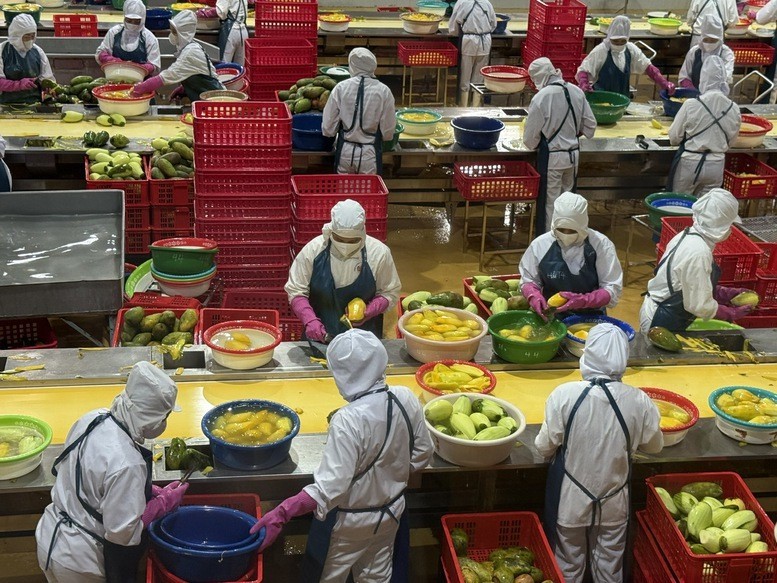 Xuất khẩu nông, lâm, thủy sản của Việt Nam trong 11 tháng năm 2025 đạt 64,01 tỷ USD, tăng 12,6% so với cùng kỳ.