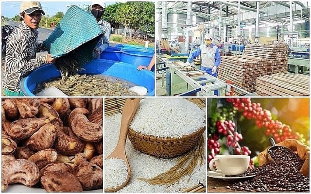Nông sản Việt tăng tốc, lập kỷ lục xuất khẩu mới năm 2025