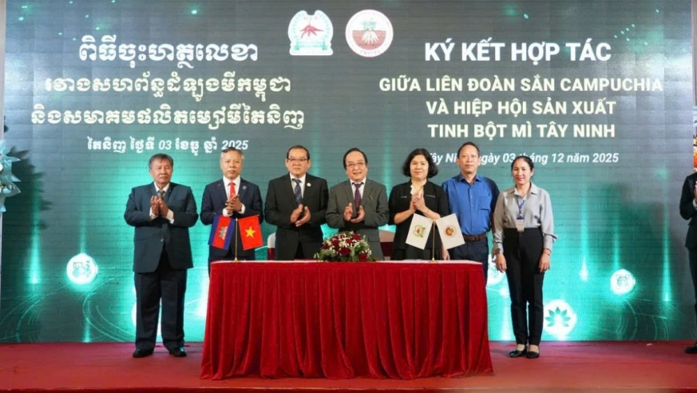 Tây Ninh hợp tác với Campuchia nâng cao chuỗi giá trị xuất khẩu ngành sắn