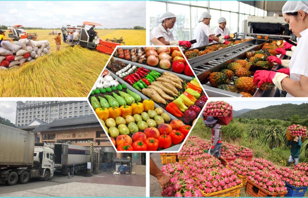 Xuất khẩu nông, lâm, thủy sản: Hướng tới mục tiêu 70 tỷ USD trong năm 2025