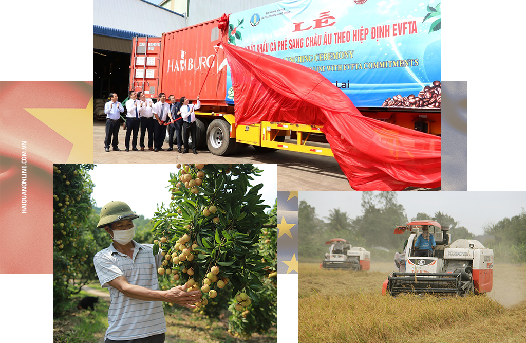 MEGASTORY: Thực thi EVFTA: Hiện thực hoá "con đường cao tốc" với EU