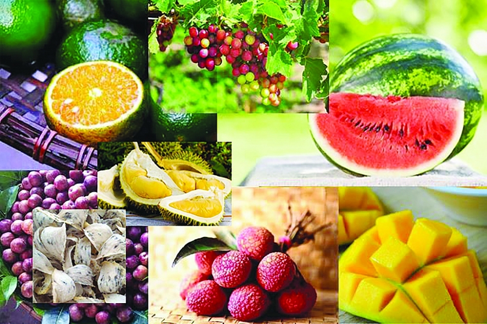 Đặc sản Việt sẵn sàng tiến vào thị trường hàng đầu thế giới