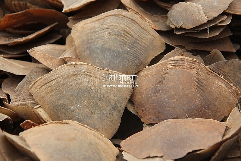 Vảy tê tê là tang vật trọng vụ việc bắt giữ hơn 8 tấn hàng vi phạm do Đội 1 chủ trì tháng 3/2019 tại cảng Hải Phòng. 	Ảnh: T.Bình