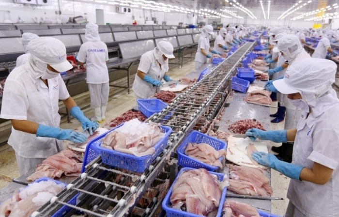 Việt Nam dẫn đầu thế giới về sản lượng cá tra đạt chứng nhận ASC