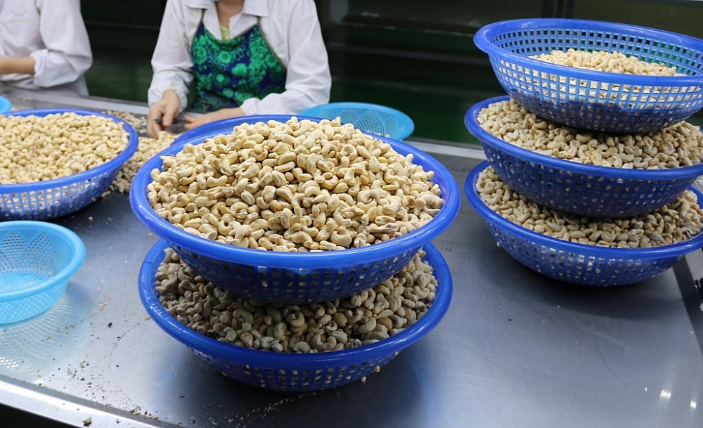 Việc chưa am hiểu chính sách pháp luật trong lĩnh vực sản xuất xuất khẩu khiến nhiều DN mắc phải các lỗi vi phạm . 	Ảnh: N.H