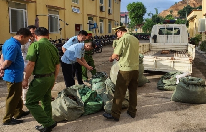 Nguyên liệu thuốc bắc nhập lậu lại “nổi sóng”