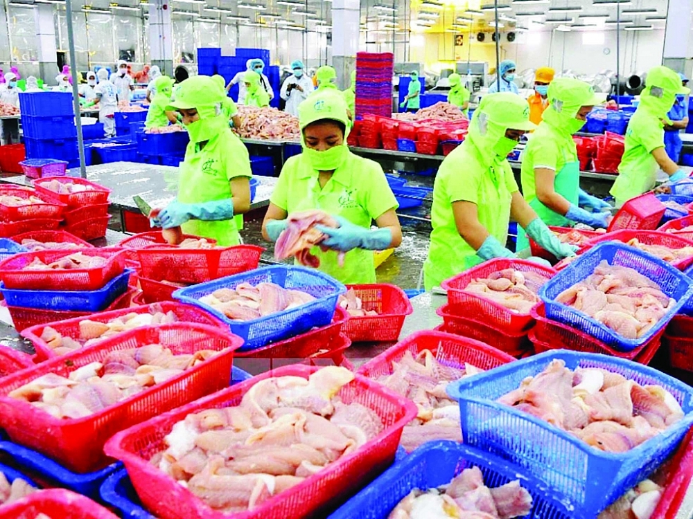kiem tra chuyen nganh doanh nghiep gap kho trong quy dinh ghi nhan hang hoa