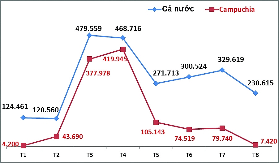 Hé lộ nhiều vi phạm liên quan đến nhập khẩu hạt điều
