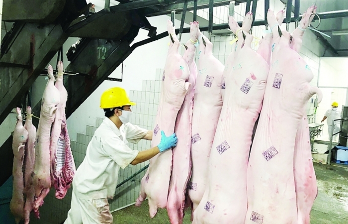 Covid-19 xâm nhập lò mổ làm tăng áp lực cung ứng thực phẩm cho TPHCM và nhiều tỉnh phía Nam