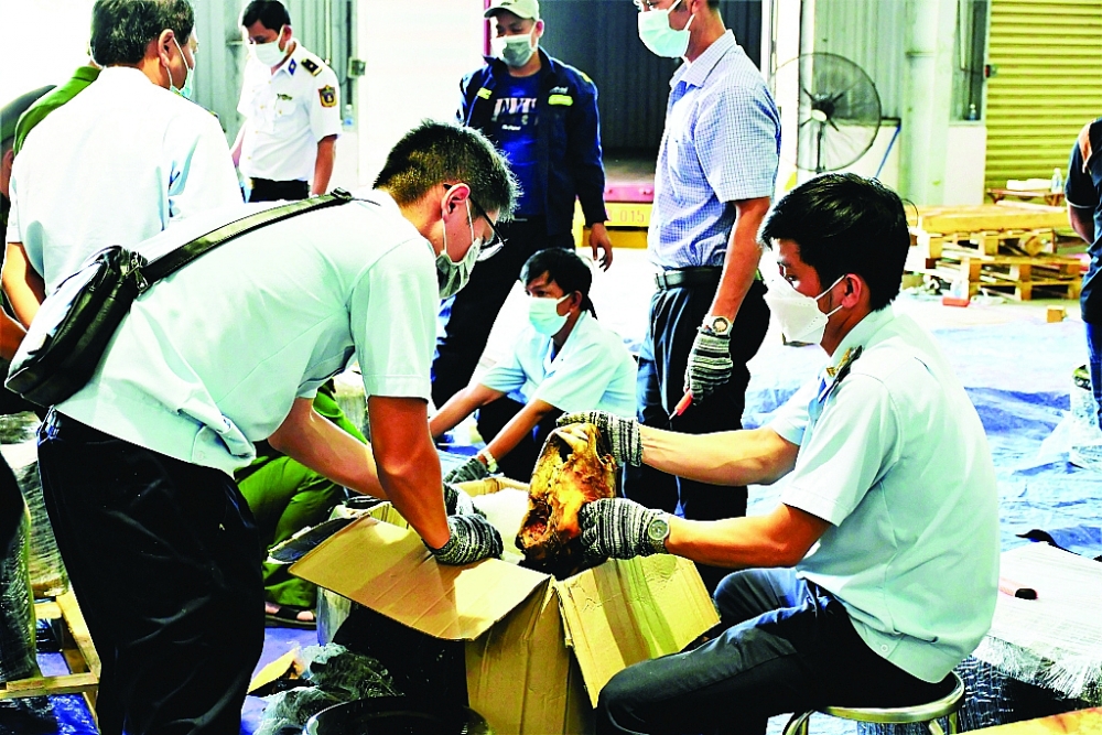 Cục Hải quan Đà Nẵng phối hợp các cơ quan chức năng phát hiện hơn 138kg sừng tê giác, hơn 3,1 tấn xương động vật nghi là xương của động vật thuộc Danh mục các loài động vật, thực vật hoang dã quy định trong các phụ lục của Công ước CITES (tháng 7/2021).