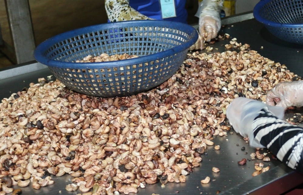 Ghi nhãn trên bao bì điều thô nhập khẩu từ châu Phi