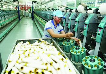 Sửa Luật Doanh nghiệp: Để kinh doanh được “tung cánh”