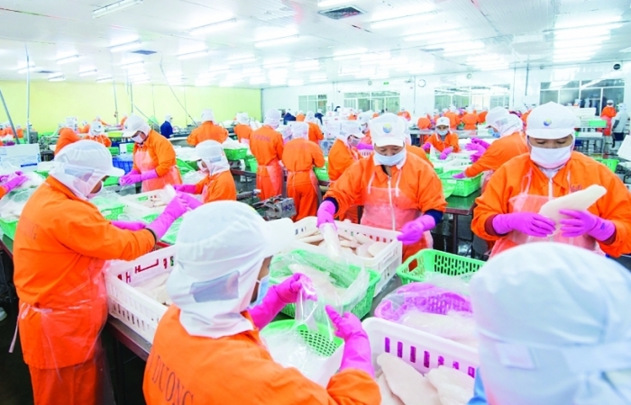 Nhiều doanh nghiệp xuất khẩu thủy sản hàng triệu USD