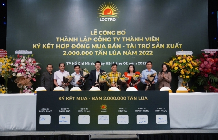Hoàn thiện chuỗi sản xuất để mang lại giá trị cao hơn cho ngành lúa gạo