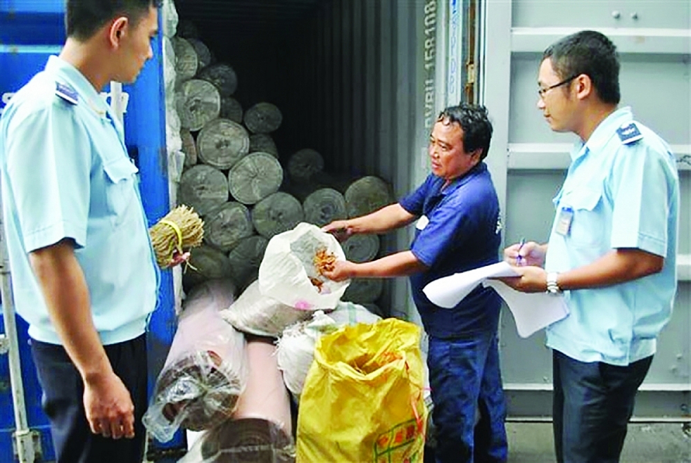 Cần định lượng về hàng mẫu