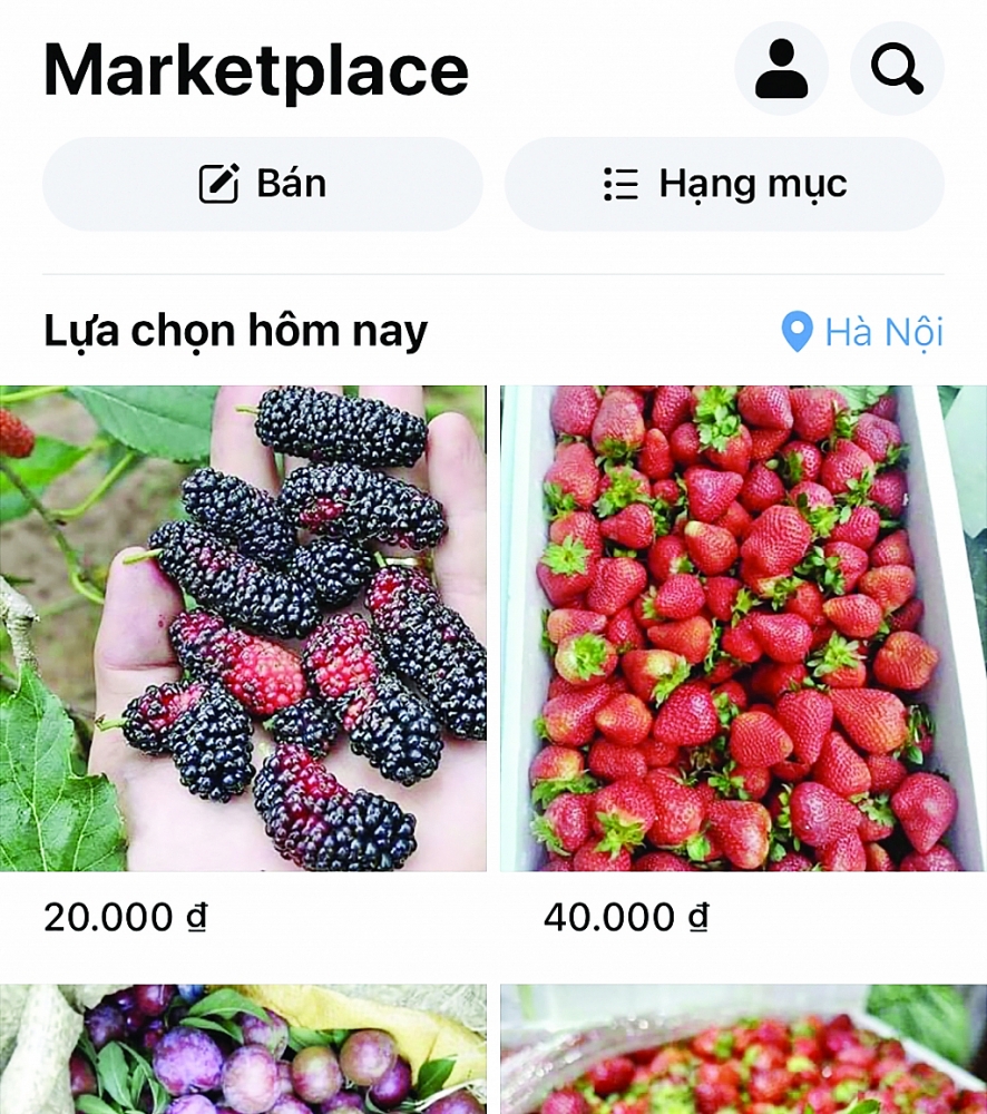Kiến nghị quy định riêng về thủ tục hải quan cho hàng hóa qua thương mại điện tử