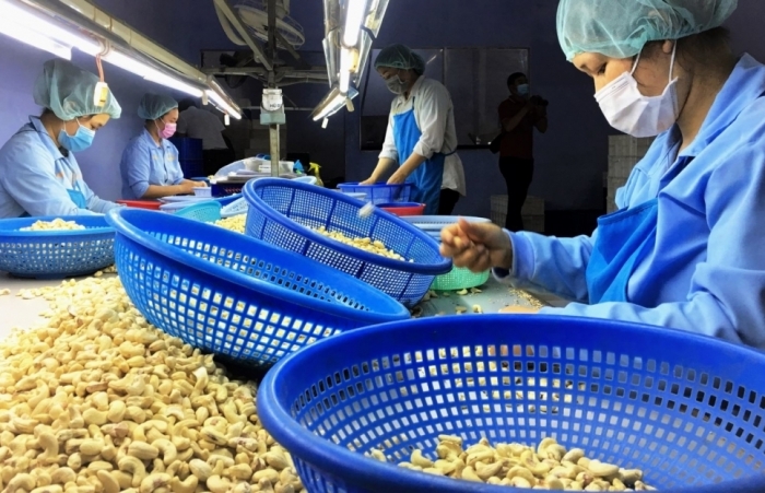 Lấp “lỗ hổng” thương mại nhìn từ nghi án lừa đảo lớn nhất lịch sử ngành điều
