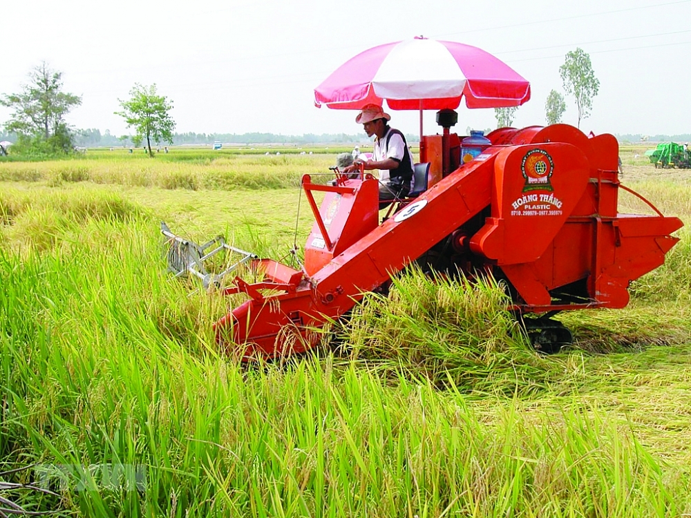 Sửa Luật Thuế giá trị gia tăng: Bộ Tài chính đề xuất mở rộng cơ sở thuế