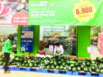 Bức tranh sáng - tối hậu cổ phần hóa - Bài 2: Hapro và hành trình tận dụng cơ hội từ cổ phần hóa