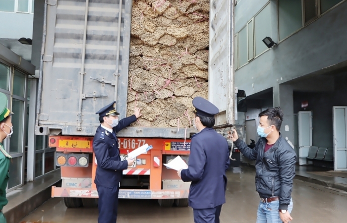 Làm rõ khái niệm “khai sai so với thực tế” trong xử phạt vi phạm hành chính lĩnh vực hải quan