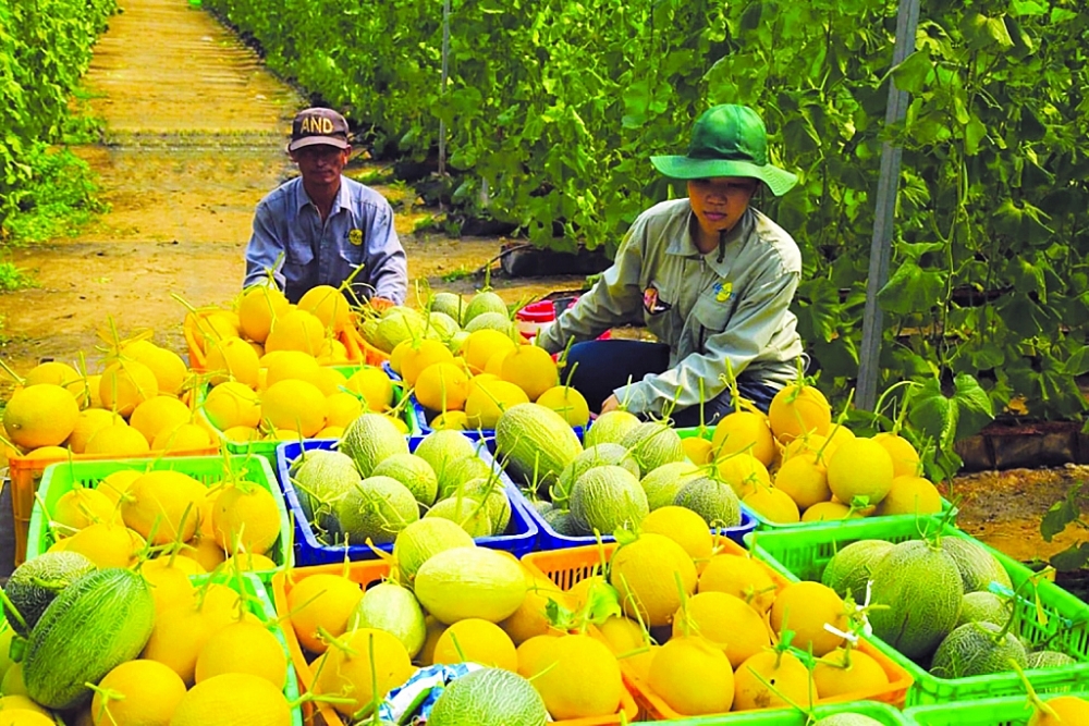 Gắn trách nhiệm xã hội để doanh nghiệp vươn xa