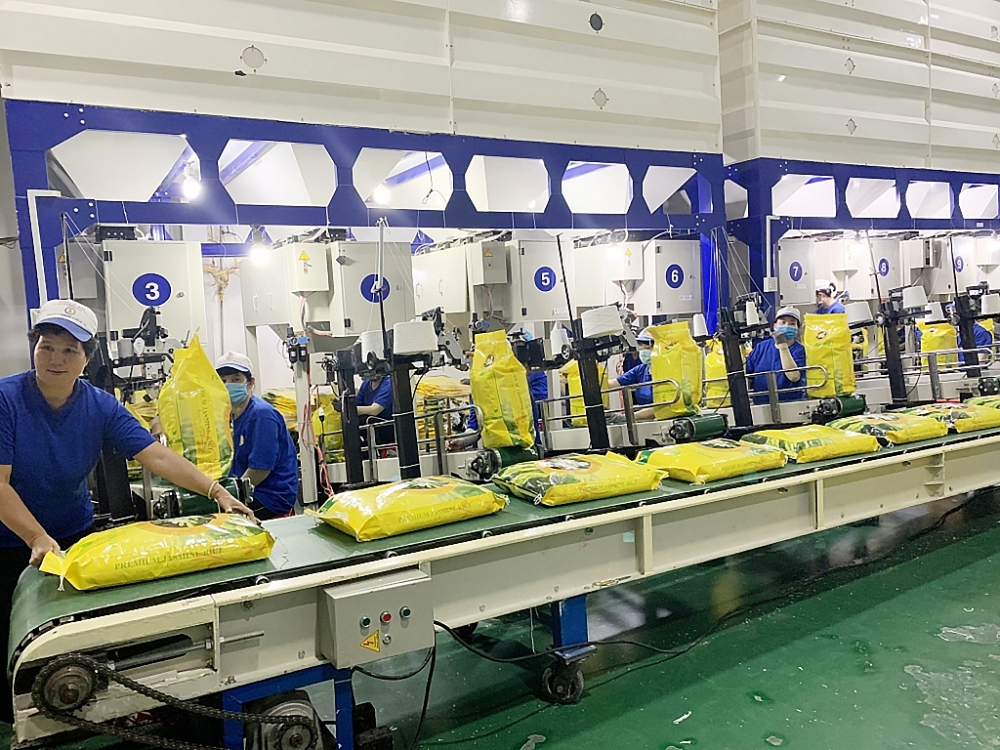 Doanh nghiệp xuất khẩu chật vật giữa cơn bão chi phí