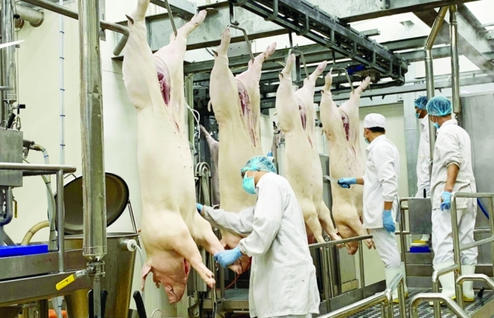 Cung-cầu thịt lợn : Đảm bảo đầu quý 4
