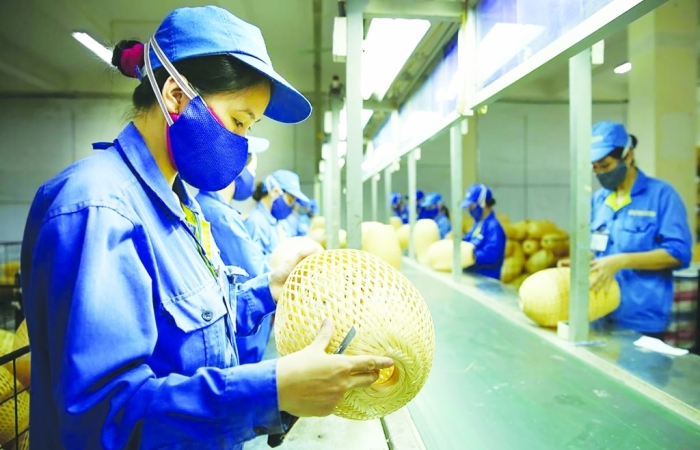Kiến nghị hỗ trợ cụ thể, dài hơi doanh nghiệp nhỏ và siêu nhỏ