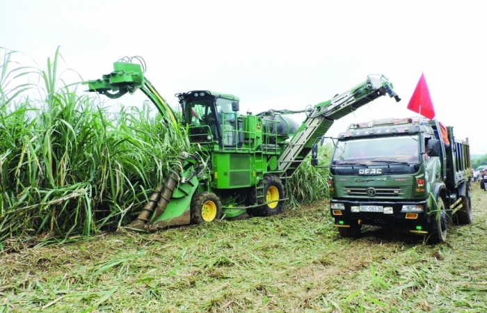 Lao đao vì ATIGA, mía đường “lên dây cót" khởi kiện