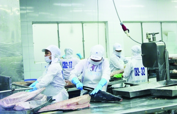 Xuất khẩu cá ngừ kỳ vọng tăng mạnh những tháng cuối năm