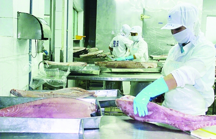 EVFTA đang được khai thác hiệu quả