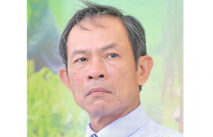 Phát triển ngành cao su bền vững, đáp ứng các yêu cầu thị trường