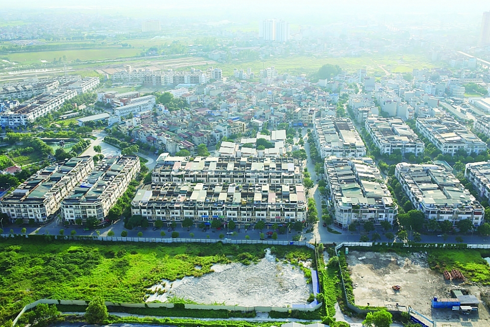 Phân khúc bất động sản nào dẫn dắt dòng tiền Phân khúc bất động sản nào dẫn dắt dòng tiền