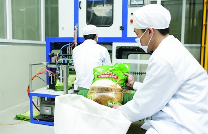 Tăng đầu tư R&D và lợi ích