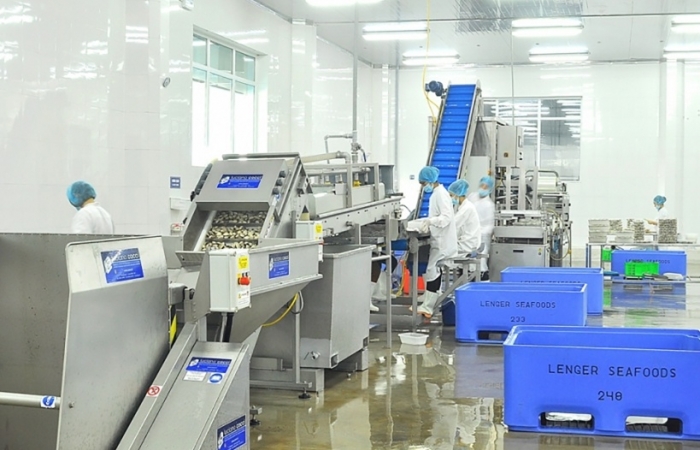 Nhuyễn thể Việt chinh phục thị trường ‘khó tính”