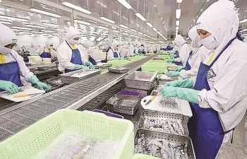Bí quyết giữ vững sản xuất của doanh nghiệp xuất khẩu thuỷ sản