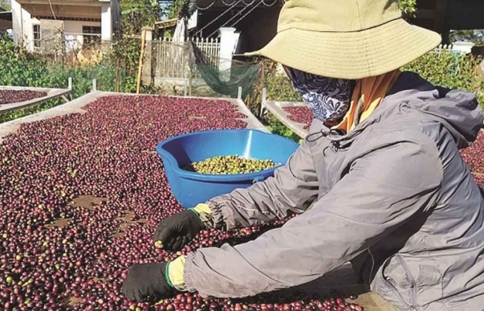 Hơn 2.600 mặt hàng nhập vào Algeria phải chịu thuế phòng vệ bổ sung